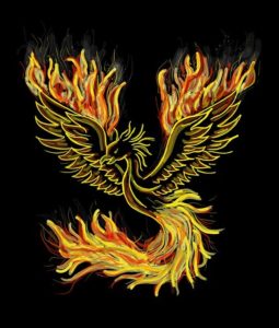 graphic design image of a fiery phoenix bird rising from the ashes